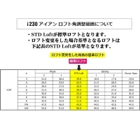 ピン i230 アイアン 単品 (3/4/UW) PING TOUR 2.0 クロム 右利き用【クーポン対象】【カスタム対応】