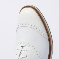 フットジョイ 2023 DRYJOYS プレミア ウィルコックス レース 54344W ソフトスパイク ゴルフシューズ【クーポン対象】【土日祝発送可】